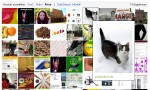 Simsalaseo bei Bing
